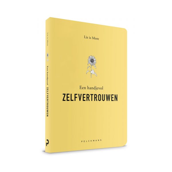 Een handjevol ZELFVERTROUWEN boek