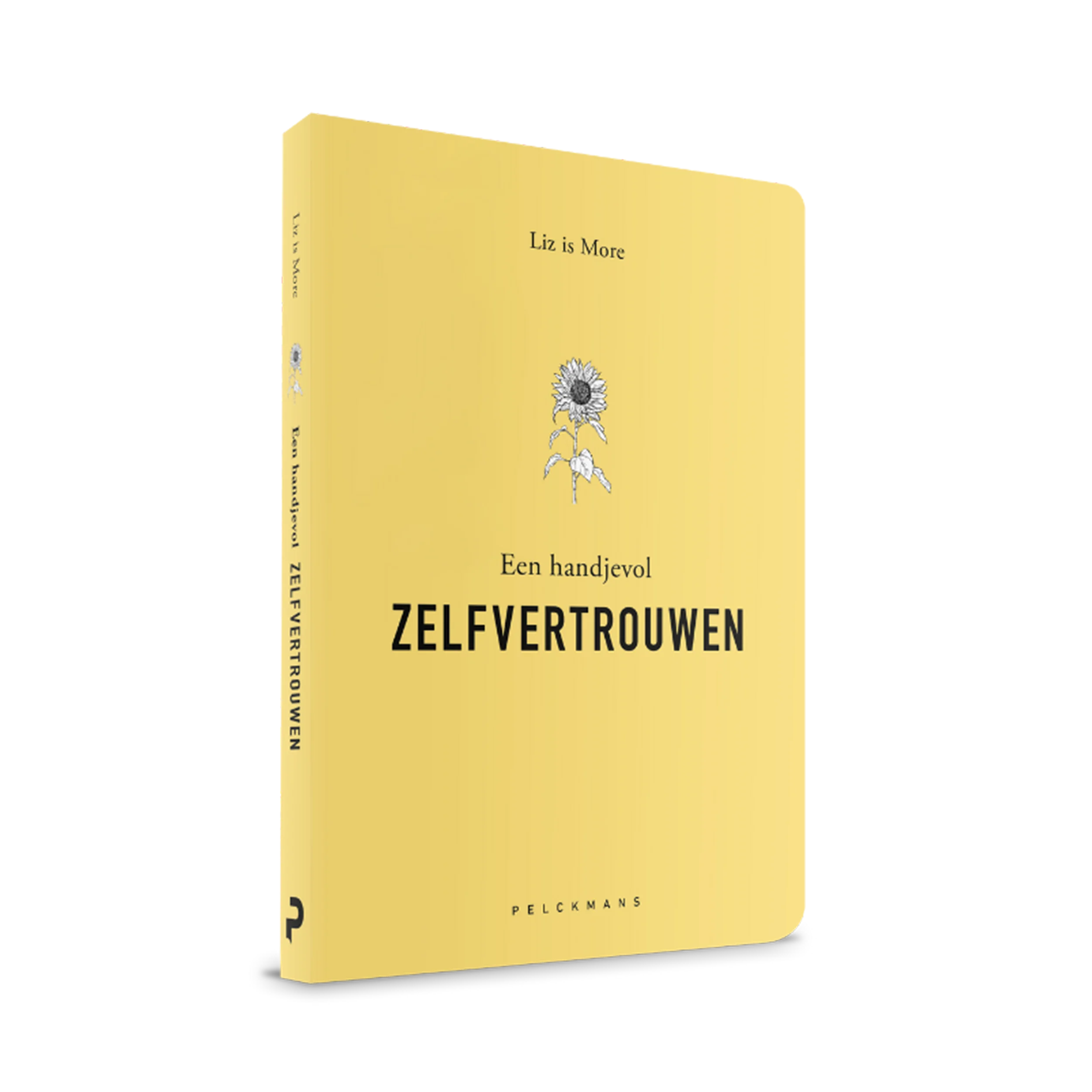 Een handjevol ZELFVERTROUWEN