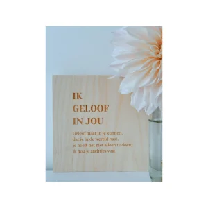 Houtmevastje ik geloof in jou